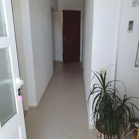 דירה Elli קורצולה